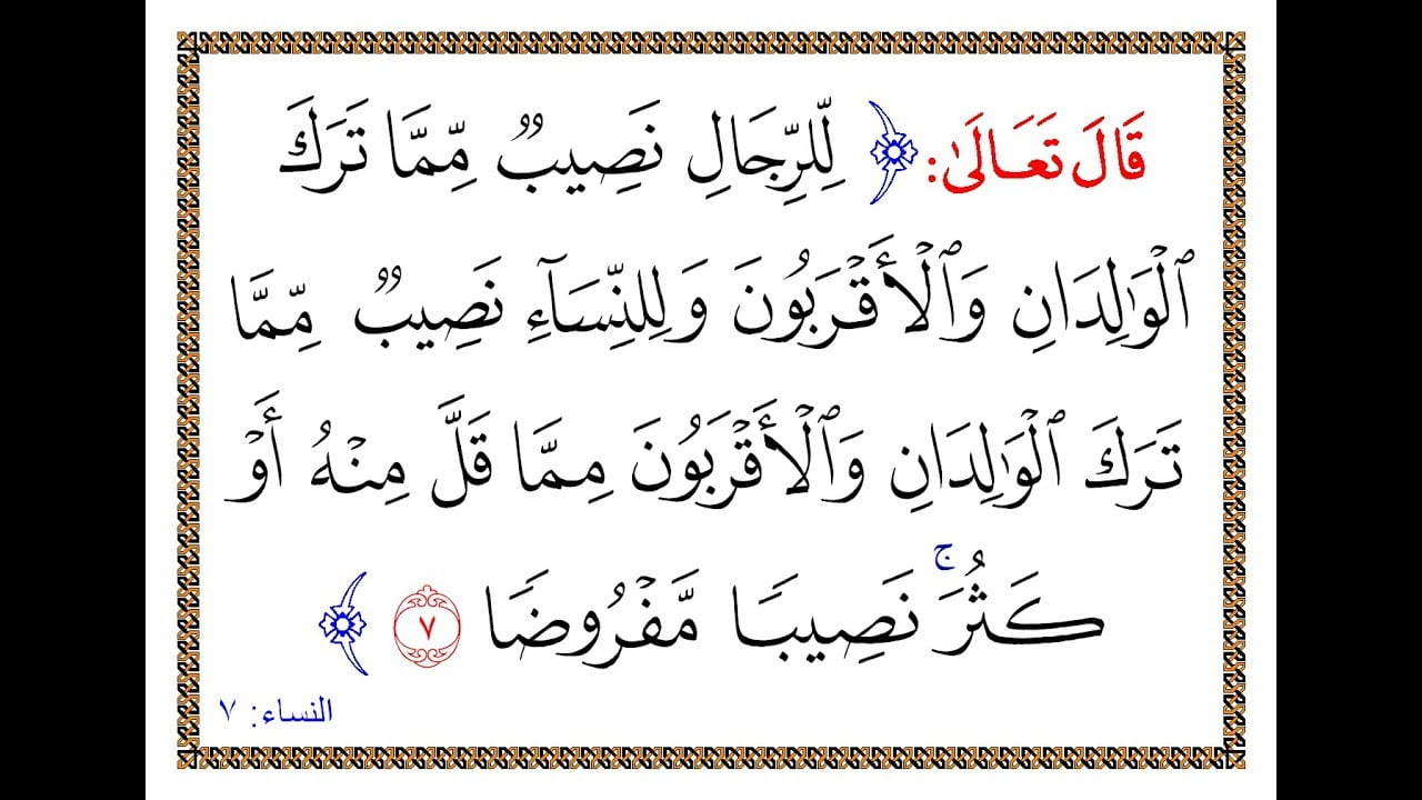 مىراس بوۋا - مومىلارنىڭ ئۈلۈشى 1