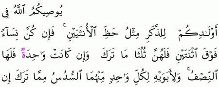 مىراس ۋارىسلارنىڭ ئىككىگە ئايرىلىشى 13