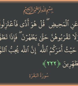 ھەيزدار ئايال بىلەن مۇناسىۋەت قىلىش 7